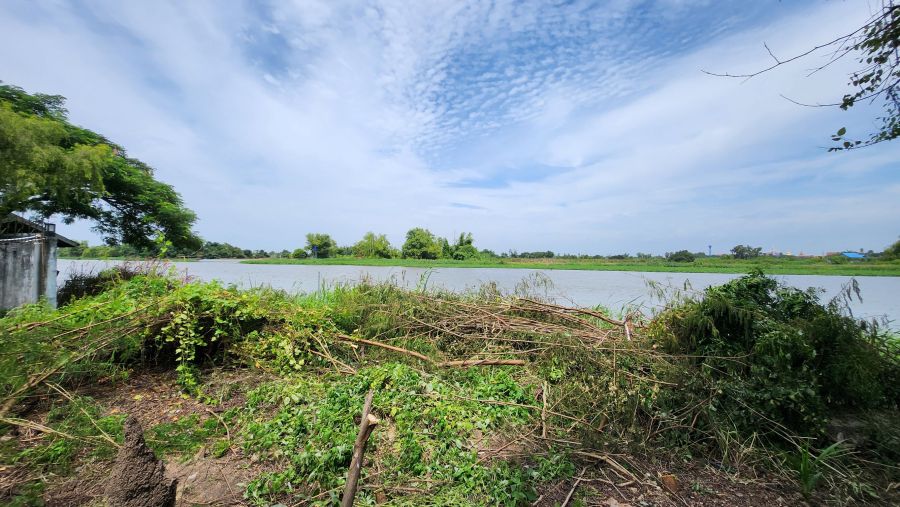 - ที่ดินติดแม่น้ำท่าจีน บางแก้วฟ้า นครชัยศรี 213 ตร.ว. ทำเลริมน้ำวิวสวยหายาก