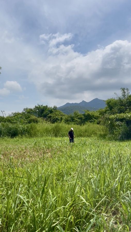 - ที่ดินเปล่าเหมาะสร้างบ้านพักตากอากาศใกล้แหล่งท่องเที่ยวเขาใหญ่ วันเดอร์แลนด์750 เมตร เซอร์เจมส์คันทรี่คลับ ที่ตั้ง ต.มิตรภาพ อ.มวกเหล็ก สระบุรี