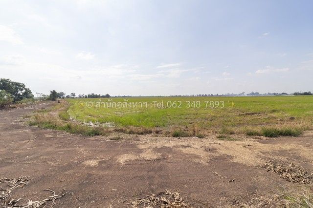 - ขายที่ดินเปล่า (ปัจจุบันเป็นที่นา) เนื้อที่ 20 ไร่ ทรงสวยสี่เหลี่ยม ต.วังพัฒนา อ.บางซ้าย จ.พระนครศรีอยุธยา