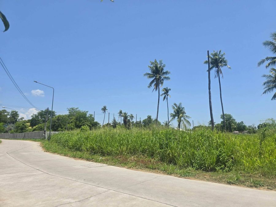 - ขายที่ดินทำเลดีหนองข้างคอก 241 ตรว. ติดถนน2ด้าน ใกล้ถ.เลียบชลบุรี-พัทยา-500เมตร อ.เมืองชลบุรี
