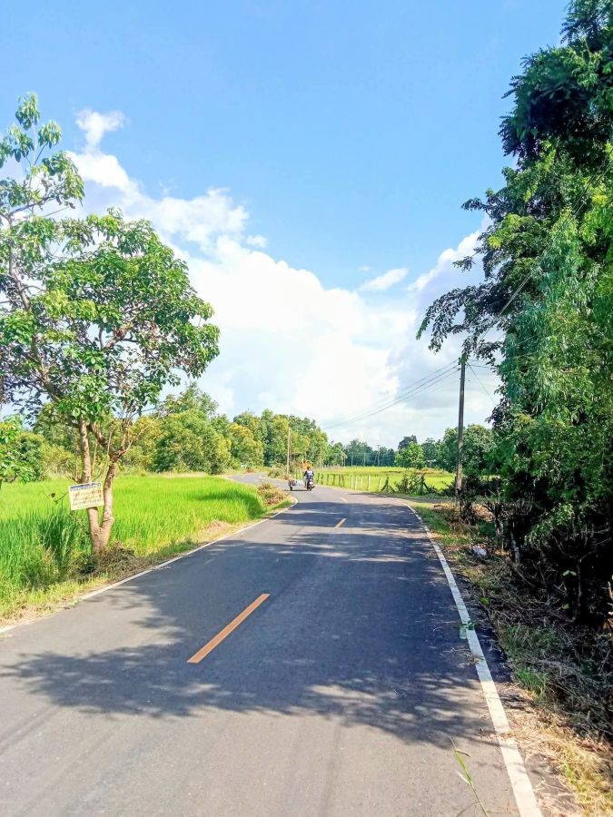 - ที่ดินอยู่อาศัย โฉนด 1 ไร่เต็ม อ.นางรอง บุรีรัมย์