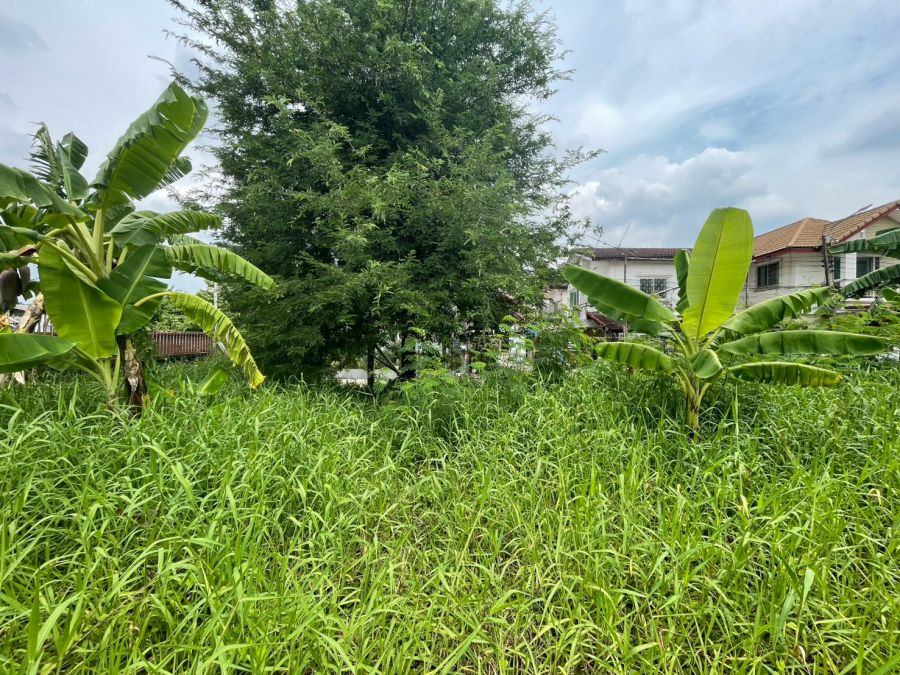 - ขายที่ดินเปล่าถมแล้ว ถ.สุขาภิบาล ซอยสุขาภิบาล 5 แยก3 ที่สวย เข้าออกได้หลายทาง