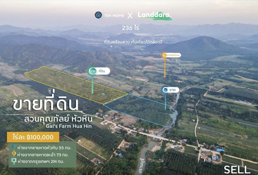 - ขายที่ดิน สวนคุณกัลย์ หัวหิน ที่ดินพร้อมสวน เก็บเกี่ยวได้ตลอดปี