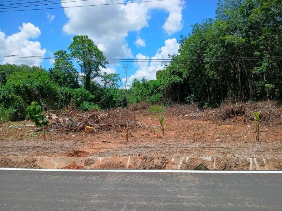 - ที่ดิน 231.3 ตร.ว. เขตเมืองสุราษฎร์ฯ | วัดประดู่ | โฉนดพร้อม | พัฒนาได้หลายรูปแบบ