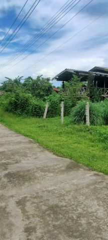 - ขายที่ดินสวยทำเลทอง อำเภอพาน เชียงราย เหมาะสร้างบ้านพักผ่อน