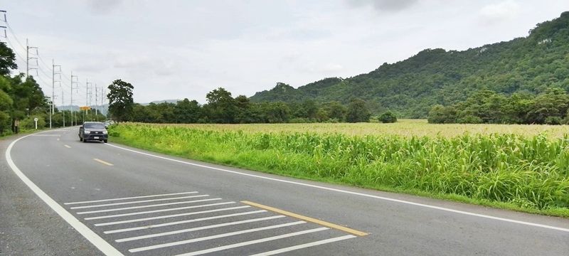 - ขายที่ดินสระบุรี อ.แก่งคอย แปลงสวย ติดถนนใหญ่ หน้ากว้าง 250 เมตร วิวภูเขา บรรยากาศดี