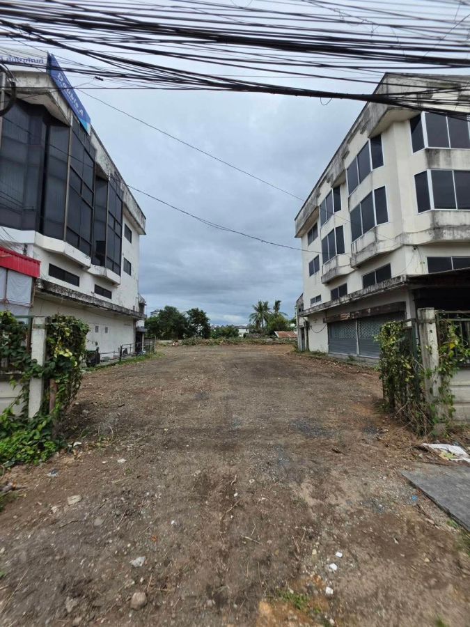 - ขายที่ดินกลางใจเมืองเชียงใหม่ใกล้เมืองแปลงใหญ่พร้อมโอน