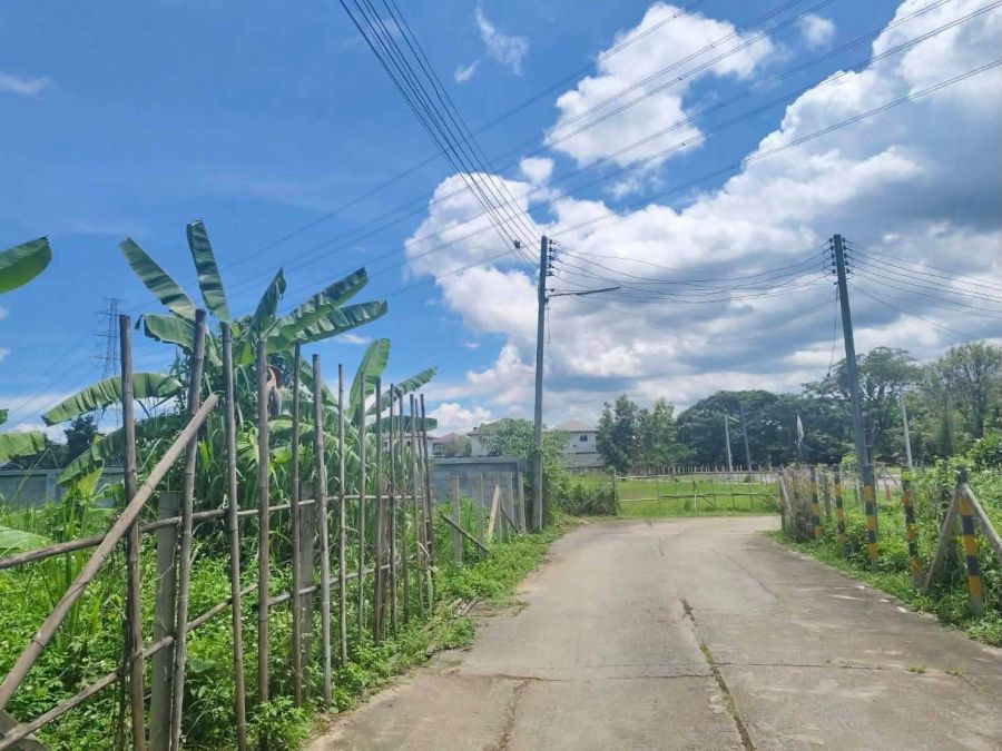 - ขายที่ดินตำบลสันกลางสันกำแพงห่างเรือนแพ 800เมตรพร้อมโอน