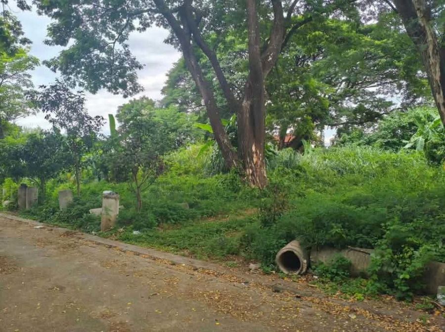 - ขายที่ดินตำบลวัดเกตุติดถนนกลางใจเมืองโฉนดพร้อมโอน