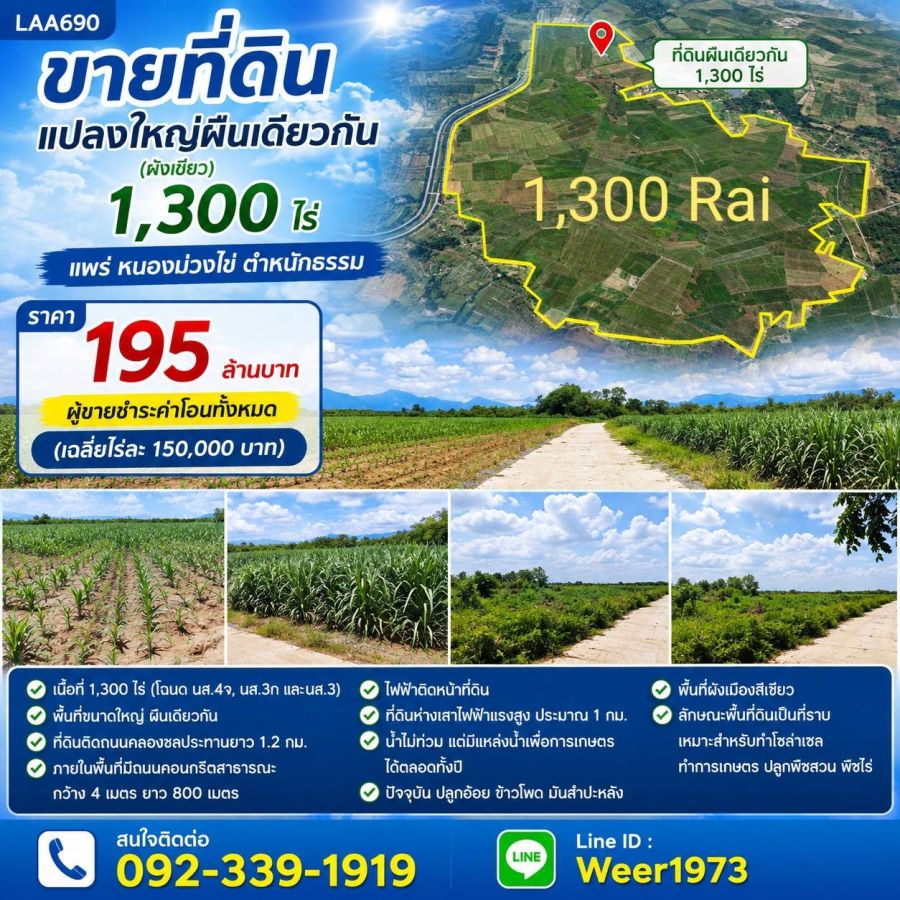 - ขายที่ดินแปลงใหญ่ผืนเดียวกัน (ผังเขียว) 1,300 ไร่ แพร่ หนองม่วงไข่ ตำหนักธรรม