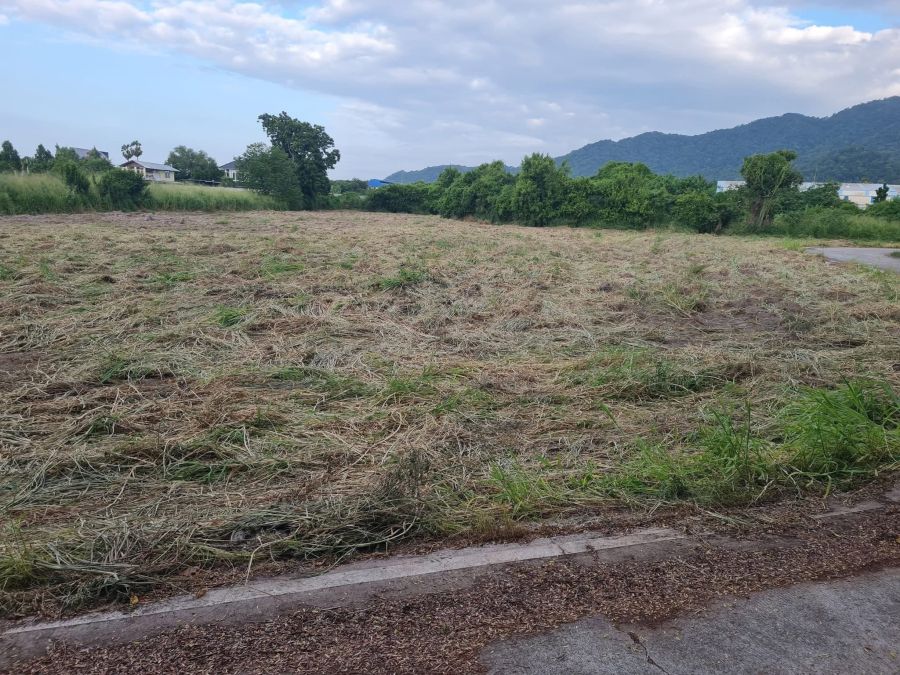- ขายที่ดินหนองข้างคอก 3 ไร่ ติดวิวเขา ติดถนนคอนกรีต2ด้าน ใกล้ถนนเส้น3702เลียบมอเตอร์เวย์-400เมตร อ.เมืองชลบุรี