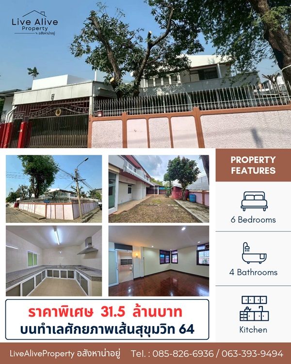 - สินทรัพย์ศักยภาพสูง ทำเลทองสุขุมวิท ขายด่วน ! บ้านพร้อมที่ดินแปลงสวย ทำเลทองสุขุมวิท 64 แปลงหัวมุม สังคมบ้านหลังใหญ่ เข้า-ออกสะดวก