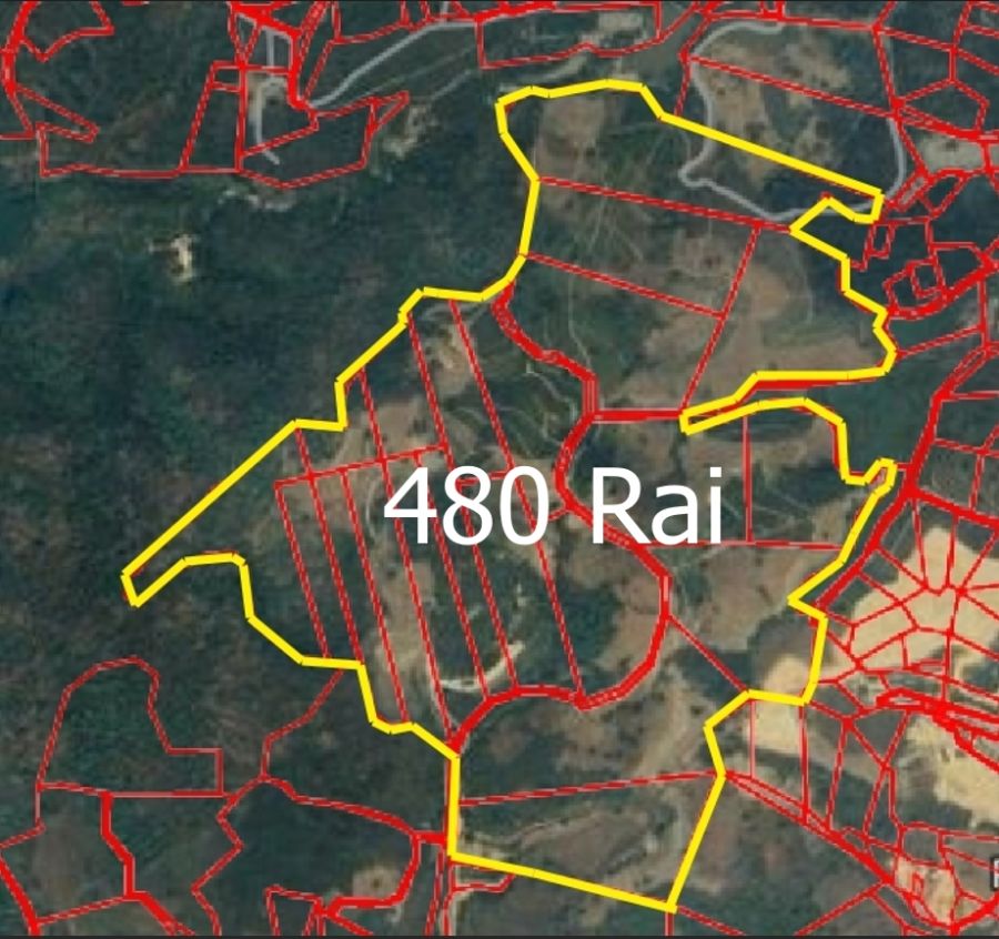 - ขายที่ดินเชิงเขา 480 ไร่ (ต.ป่าตึง อ.แม่จัน จ.เชียงราย)