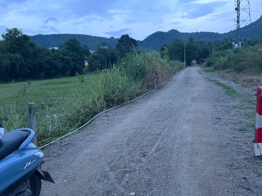 - ขายที่ดินเขาใหญ่ หมูสี ถนนธนะรัชต์ 2 ไร่ ใกล้ทางขึ้นอุทยานแห่งชาติเขาใหญ่ เข้าจากถนนธนะรัชต์ 250 เมตร ใกล้โรงแรม เทมส์วัลลีย์ ตลาดสามแยกกุดคล้า