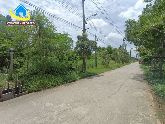- ขายที่ดิน 2 ไร่ ซอยนิลยาธร ถนนประชาพัฒนา แขวงทับยาว เขตลาดกระบัง