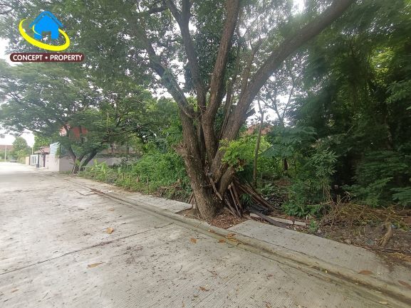 - ขายที่ดิน ซอยรามคำแหง 118 แยก 46 เนื้อที่ 113 ตารางวา สะพานสูง บางกะปิ