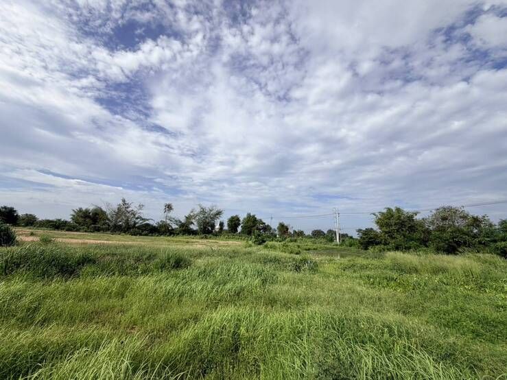 - ขายที่ดิน 15 ไร่ ติดถนนใหญ่ 3138 ตรงข้าม และเยื้องๆวัดราษฎ์เรืองสุข อำเภอบ้านบึง จ.ชลบุรี