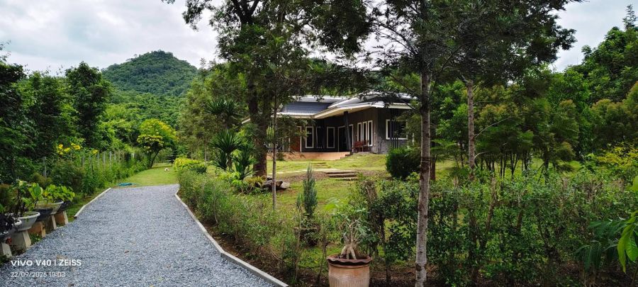 - ขายที่ดินพร้อมบ้านเขาใหญ่ ปากช่อง 1.5ไร่ หนองน้ำแดง ใกล้ถนนธนะรัชต์ มอเตอร์เวย์ M6 แม็คโคร อากาศดีวิวเขาสวยล้อมรอบ ที่สูงน้ำไม่ท่วม ใกล้โรงพยาบาล ตลาด