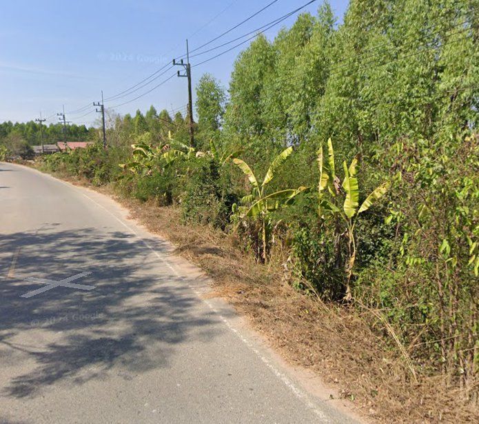 - ขายที่ดินนาวังหิน 3 ไร่ ซอยโรงเรียนบ้านเนิน ใกล้ถนนเส้น331-1.5กม. อ.พนัสนิคม ชลบุรี