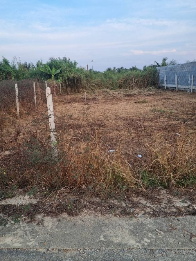 - ขายที่ดินสวย หอมเกร็ด สามพราน นครปฐม แปลงสวย 75.5 ตร.ว. พร้อมสร้างบ้าน ราคาเพียง 9.8 แสนบาท ฟรีค่าโอน