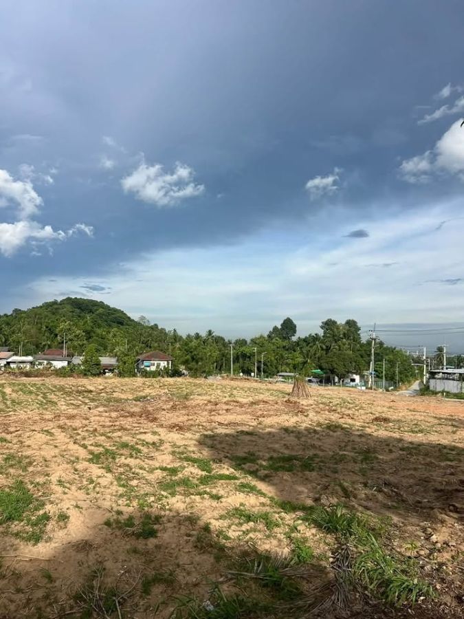 - ที่ดินวิววัดเขาตะแบก หนองขาม ศรีราชา ทำเลดี เหมาะสร้างบ้าน-ลงทุน