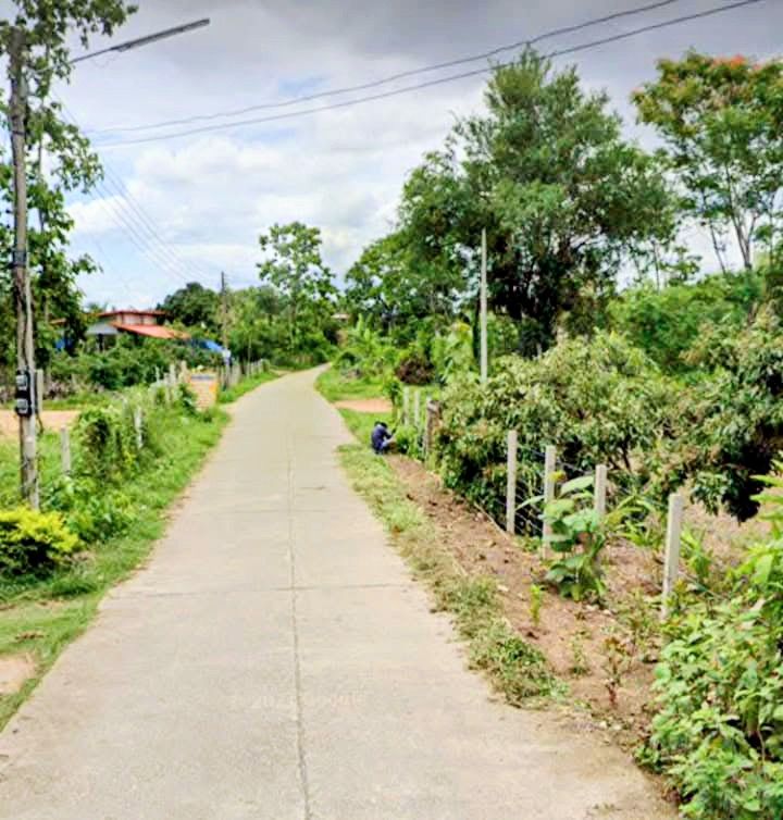 - ที่ดินแปลงเล็ก น้ำไม่ท่วม เหมาะอยู่อาศัย เวียงสา น่าน