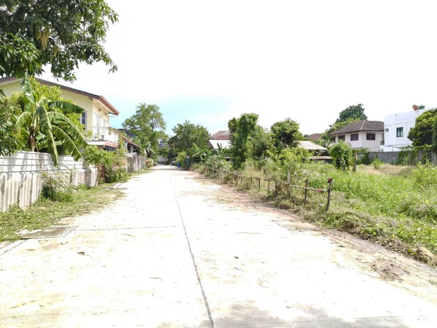 - ขายที่ดินสุขุมวิท101 ปุณณวิถี39 382ตร.ว ขาย 95,000/ตร.ว หน้ากว้างติดถนน 53ม. ใกล้รถไฟฟ้า BTSปุณณวิถี อุดมสุข เข้าออกได้ศรีนครินทร์ บางนา สุขุมวิท