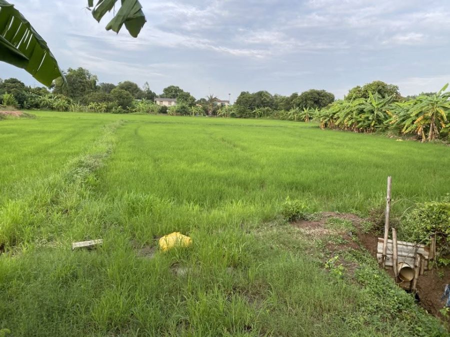 - ขายที่ดินเมืองเก่า 1 ไร่ ติดถนนลาดยาง ซ.วัดนาเหล่าน้ำ ใกล้ถนนเส้น3378-300เมตร อ.พนมสารคาม ฉะเชิงเทรา