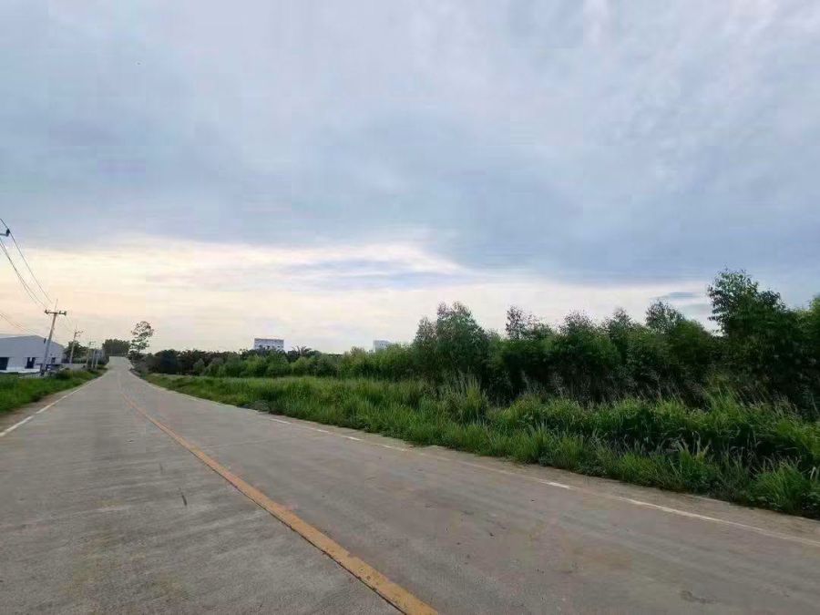- ขายที่ดิน 20-3-65ไร่ สีม่วงลาย หนองใหญ่ ชลบุรี ติดนิคมเอเชียคลีน Asia Clean Industrial Estate ชลบุรี