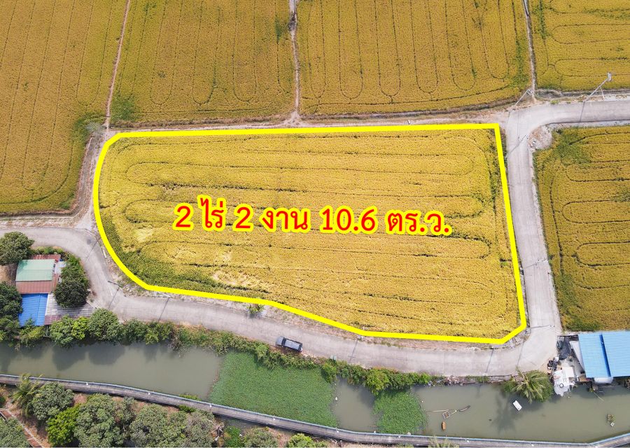 - ขายที่ดิน แปลงมุม ถนน 345 บางคูวัด ปทุมธานี