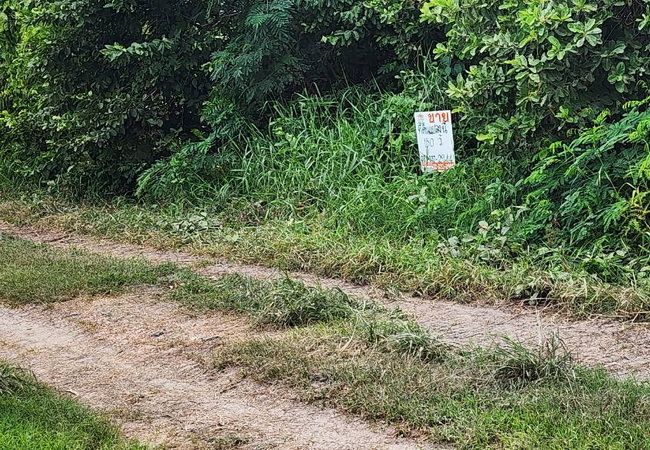 - ขายที่ดิน 150 ตร.ว. บ้านระแหง ถนนปทุมธานี-ลาดหลุมแก้ว ระแหง ลาดหลุมแก้ว ปทุมธานี
