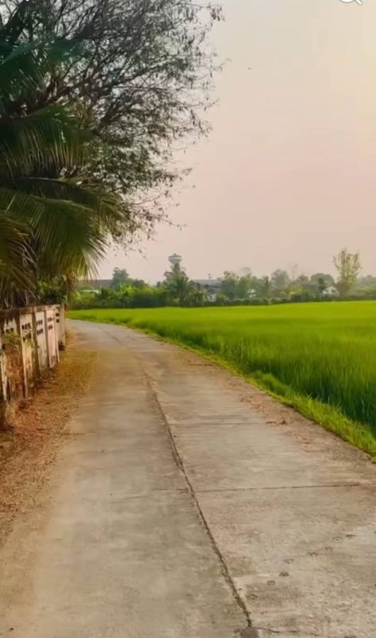 - ขายที่ดินแปลงสวย ทำเลดี ตำบลสันกลาง อำเภอพาน จังหวัดเชียงราย เดินทางสะดวก ใกล้ถนนสายหลัก
