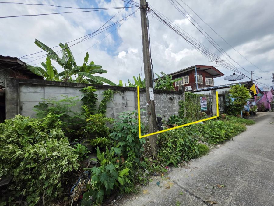 - ขายด่วน! ที่ดินถมแล้ว 104 ตร.ว. พุทธมณฑลสาย 1 ซอย 13 (แยก 4) ทำเลดี ราคาต่ำกว่าราคาตลาด บรรยากาศเงียบสงบ เป็นส่วนตัว