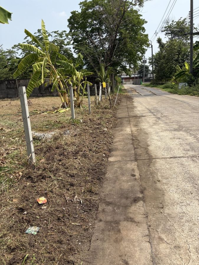 - ขายที่ดินถมแล้ว 200 ตรว.Opp.Centralแจ้งวัฒนะ แจ้งวัฒนะ-ปากเกร็ด 23 ใกล้รถไฟฟ้าสายสีชมพู
