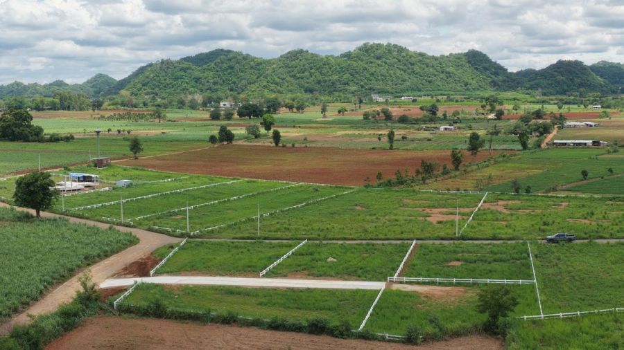 - ขายที่ดินวิวเขา 180 องศา คลองม่วง ปากช่อง 164 ตร.ว. 1.23 ล้าน ใกล้ถนน 3060 น้ำไฟพร้อม ฟรีค่าโอน