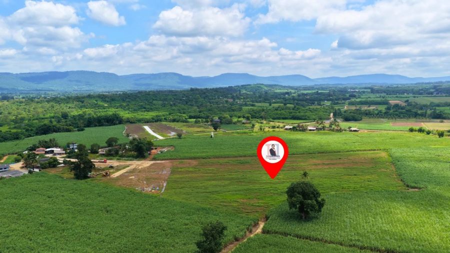 - ขายที่ดินวิวเขา 15 ไร่ หลัง Tayama Farm คลองม่วง ปากช่อง ขายยกแปลง 14.25 ล้าน โฉนดครุฑแดง ฟรีค่าโอน