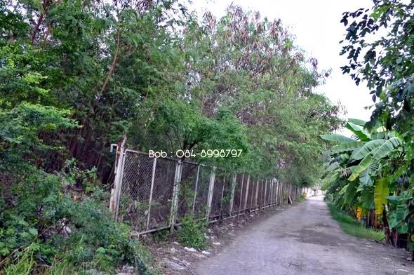 - ขายด่วน! ที่ดินทำเลทอง 4 ไร่เศษ ติดถนนพหลโยธิน คลองหลวง (ผังสีส้ม)