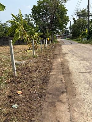 - ขายที่ดินถมแล้ว 200 ตรว. แจ้งวัฒนะ-ปากเกร็ด 23 ใกล้รถไฟฟ้าสายสีชมพู ราคาขาย 14,000,000 บาท
