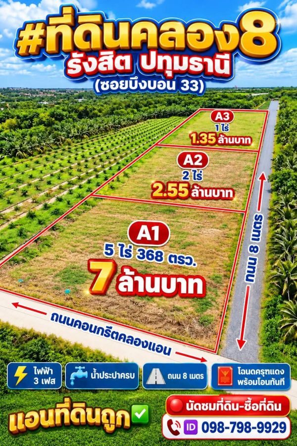 - ที่ดินคลอง8 รังสิต ปทุมธานี (ซอยบึงบอน 33)