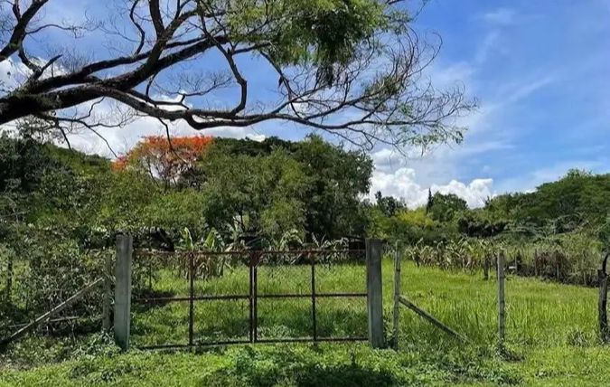 - ขายที่ดินตำบลลวงเหนือดอยสะเก็ตบ้านวังธารพร้อมโอน