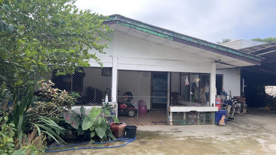 - ขายบ้านพร้อมที่ดิน 220 ตร.ว. บ้าน 2 หลัง ราคา 3.5 ล้านบาท ต.สันผีเสื้อ เชียงใหม่