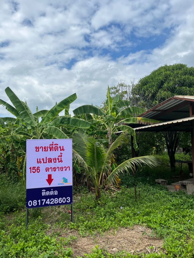 - ขาย ที่ดินเปล่า 156 ตร.ว. คลองพระราชาพิมล อ.บางบัวทอง จ.นนทบุรี