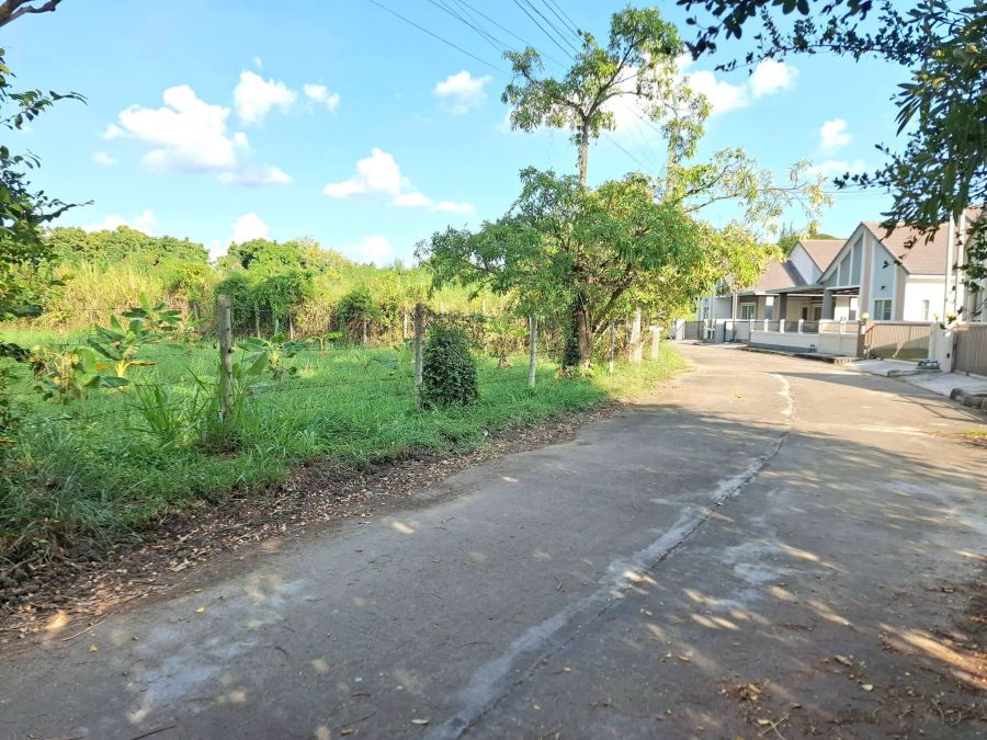 - ขายที่ดินแถวหลังกาดฝรั่งในหมู่บ้านธารดงหางดงพร้อมโอน