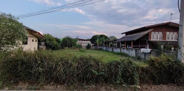 - ขายที่ดินในหมู่บ้านธารดงหางดงทำเลดีติดถนนพร้อมโอน