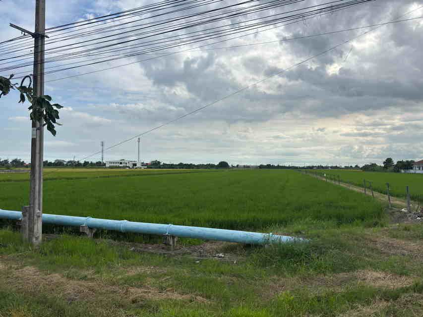 - ขายที่ดินเปล่า 24 ไร่ๆ 5 ล้าน หนองจอก กรุงเทพฯ