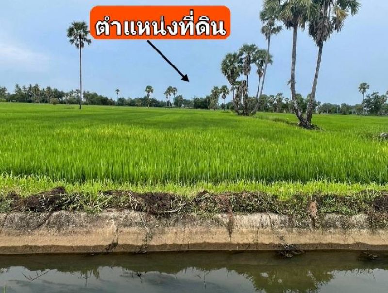 - ขาย ที่ดิน แปลงสวย ทำเลทอง ที่นา 3 ไร่ 28 ตารางวา | ต.บ้านหาด อ.บ้านลาด จ.เพชรบุรี